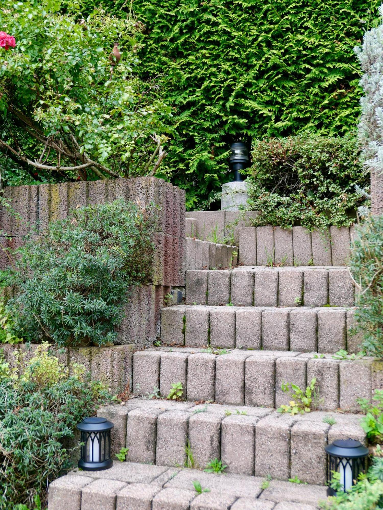 Schoenes Apartment Mit Terrasse Im Steingarten バート・フィルベル エクステリア 写真
